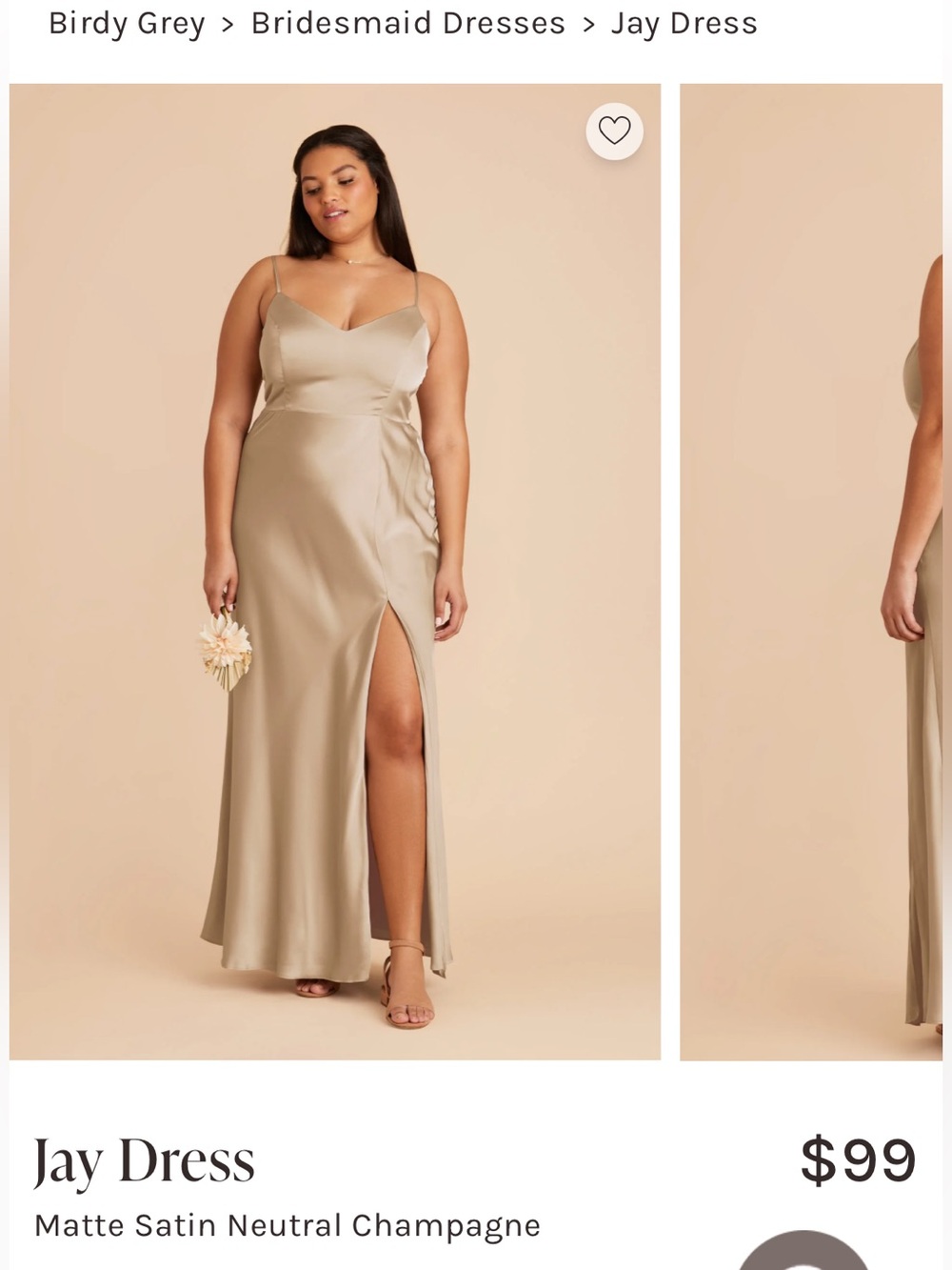 Birdy Grey Champagne Neutral Satin Jay Dress